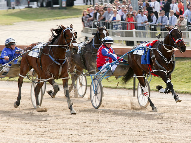 Trotting Cup в Новой Зеландии. 10 ноября 2015 года