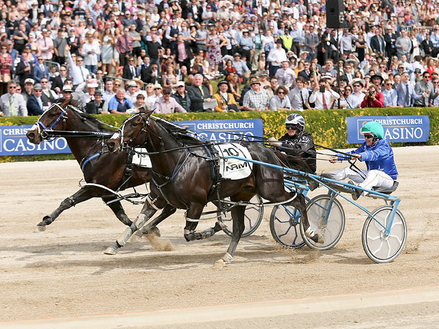 Trotting Cup в Новой Зеландии. 10 ноября 2015 года