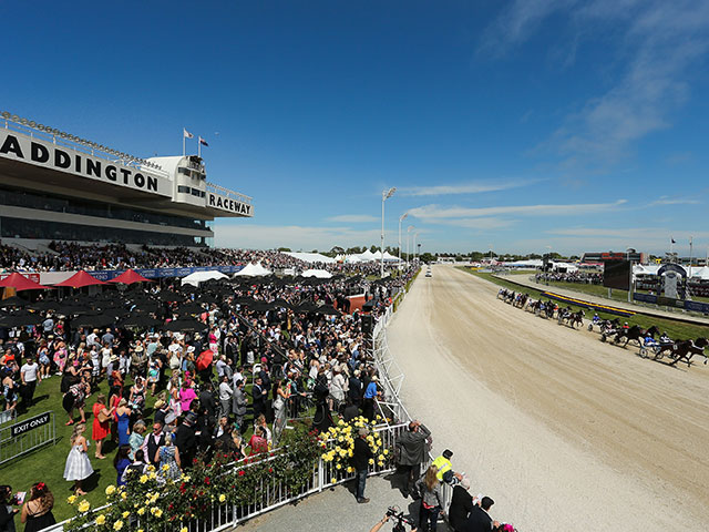 Trotting Cup в Новой Зеландии. 10 ноября 2015 года