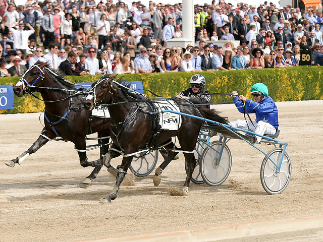 Trotting Cup в Новой Зеландии. 10 ноября 2015 года