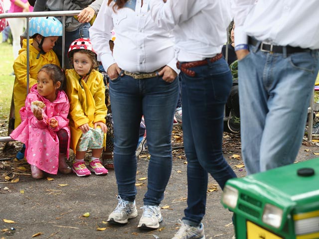 Red Bull Billy Cart Race в Сиднее