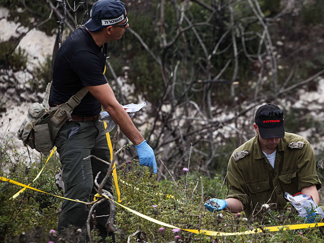 В оливковой роще в Верхней Галилее обнаружены человеческие останки  