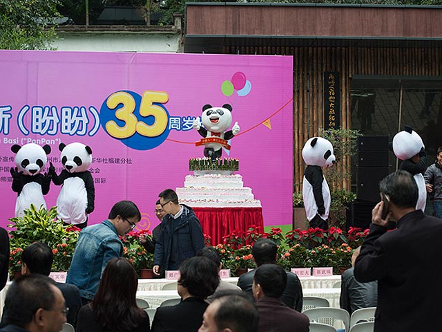 Празднование 35-летия панды Баси. Фучжоу, 28 ноября 2015 года