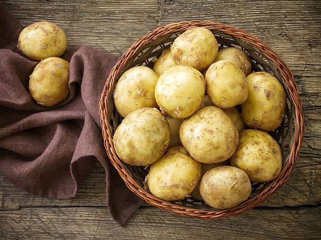 Употребление картофеля понижает риск заболевания раком желудка  