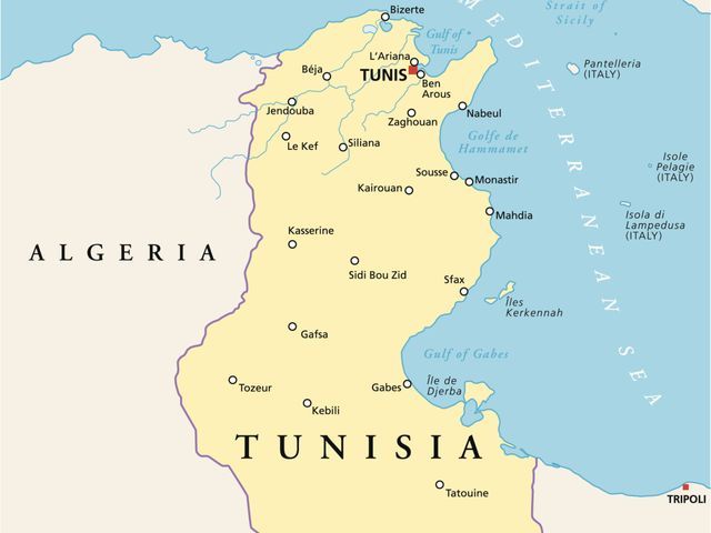 Сторонники ИГ собрали вертолет в автомастерской в Тунисе