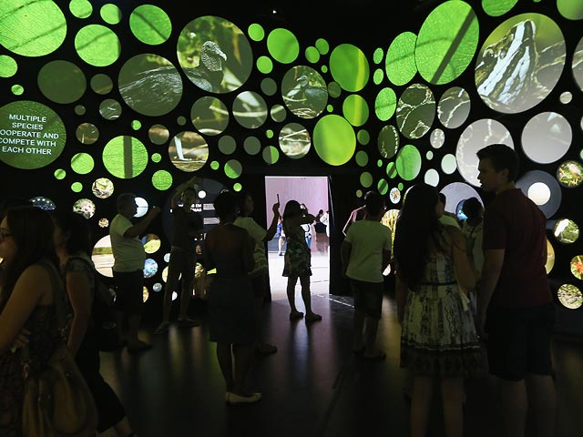 Открытие "Museum Of Tomorrow"  в Рио-де-Жанейро
