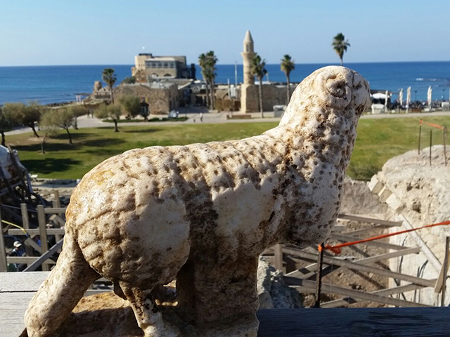 Накануне Рождества израильские археологи обнаружили в Кейсарии "заблудшую овцу"