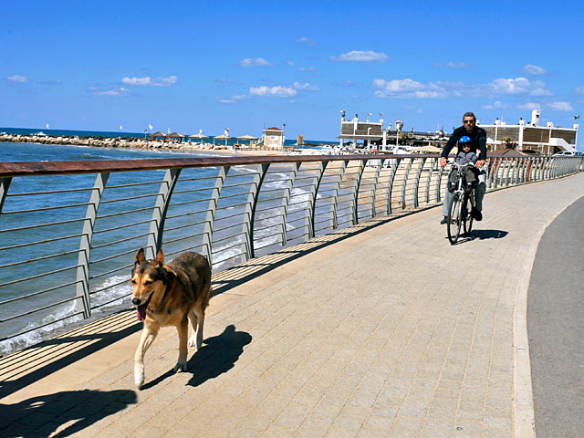 МВБ предлагает штрафовать не только велосипедистов, но и пешеходов на велодорожке  