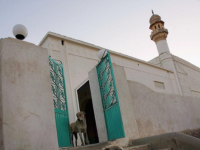 Госпитализирован сын великого муфтия Омана, не пустивший собаку в мечеть   