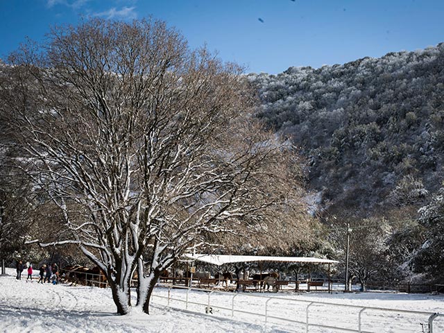 Снегопад на Хермоне, горный курорт временно закрыт  