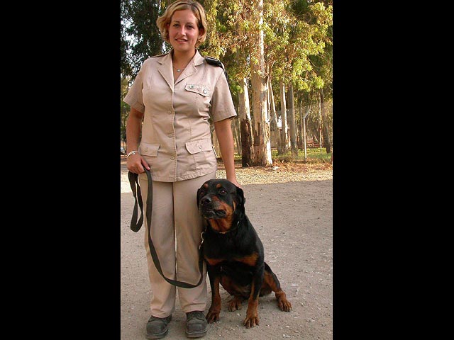 Собаки на службе в Армии обороны Израиля
