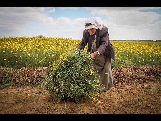 Арабы Израиля и ПА отметили 40-й "День земли"