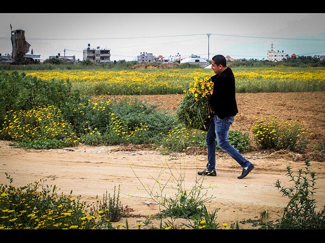 Арабы Израиля и ПА отметили 40-й "День земли"