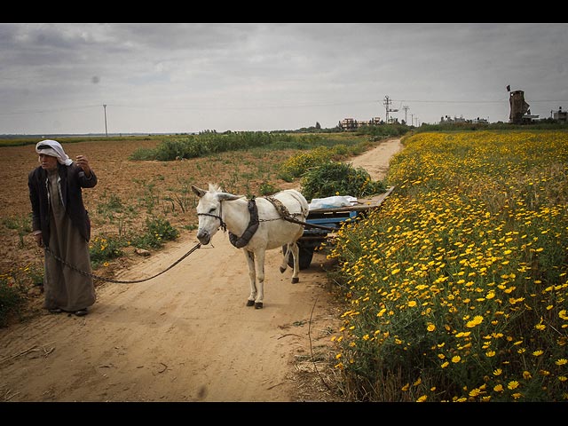 Арабы Израиля и ПА отметили 40-й "День земли"