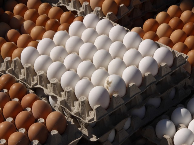 Предотвращена попытка контрабандного ввоза в Израиль из ПА 50 тысяч куриных яиц