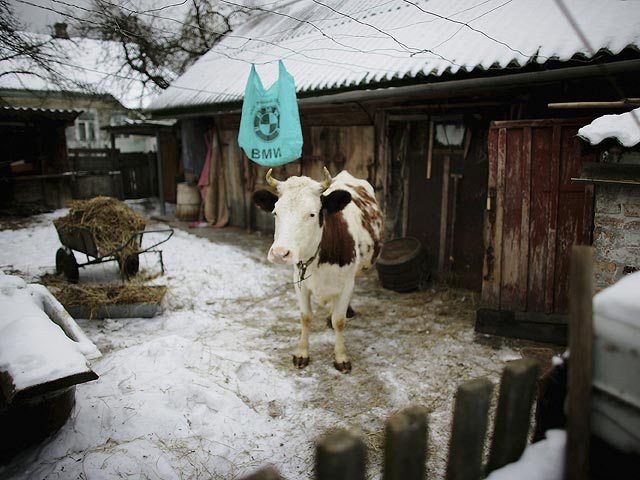 Чернобыль. 2006 год