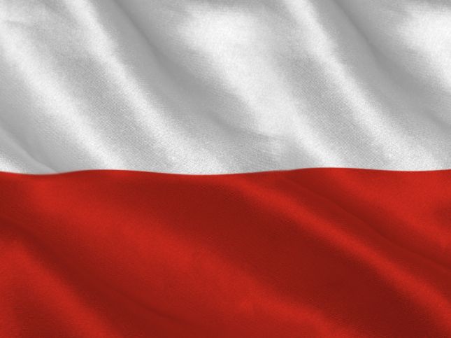 Польша начала поставки ударных БПЛА "двум воюющим странам"