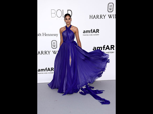 Хейди Де Ла Роза на вечере amfAR