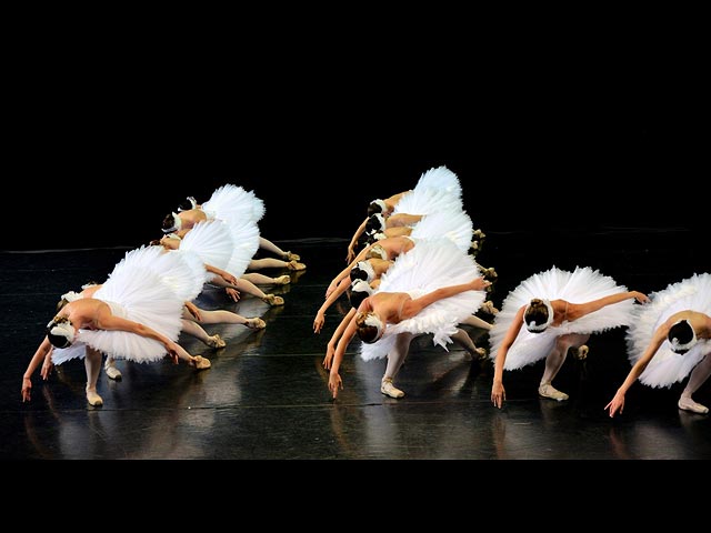 5 и 6 июня в Израильской Опере в Тель-Авиве пройдут два премьерных спектакля "Белый лебедь" 