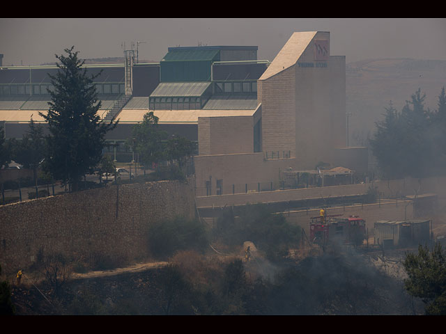 Сильный лесной пожар в Иерусалиме