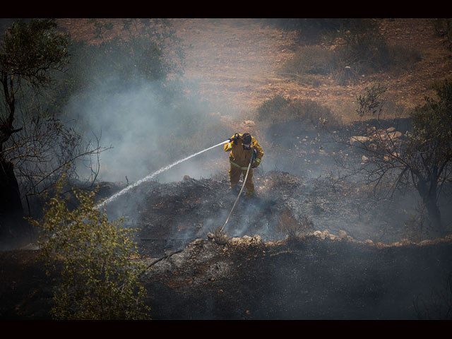 Сильный лесной пожар в Иерусалиме