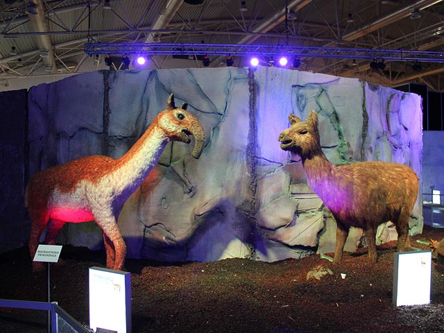 Новая выставка "Ледниковый период и динозавры" будет проходить в июле и августе