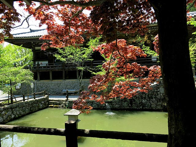 Храм чистой воды недалеко от Кобэ