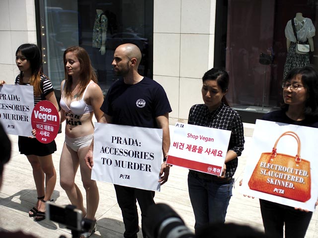 Протест активистов PETA в Сеуле. 25 мая 2016 года   