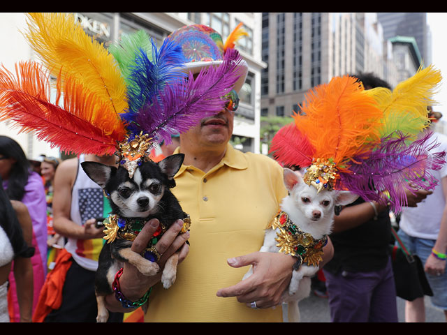 New York City Pride 2016