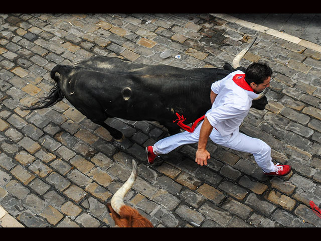 Забег быков в Памплоне: баски и туристы славят св. Фермина, спасшего город от чумы