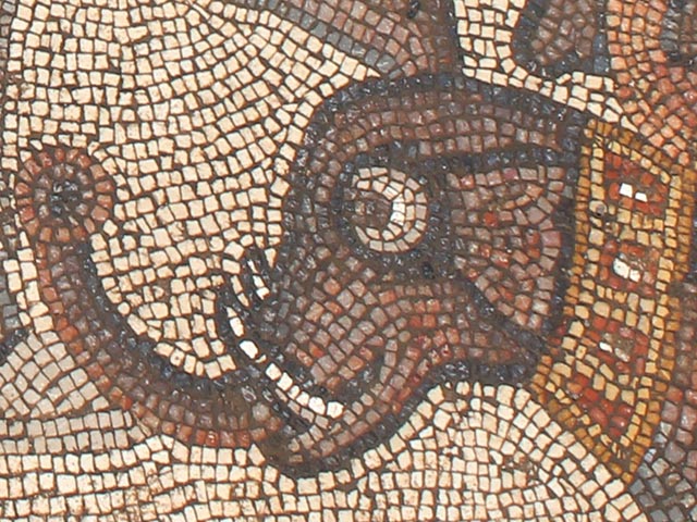 Мозаика, ранее обнаруженная в синагоге в Галилее