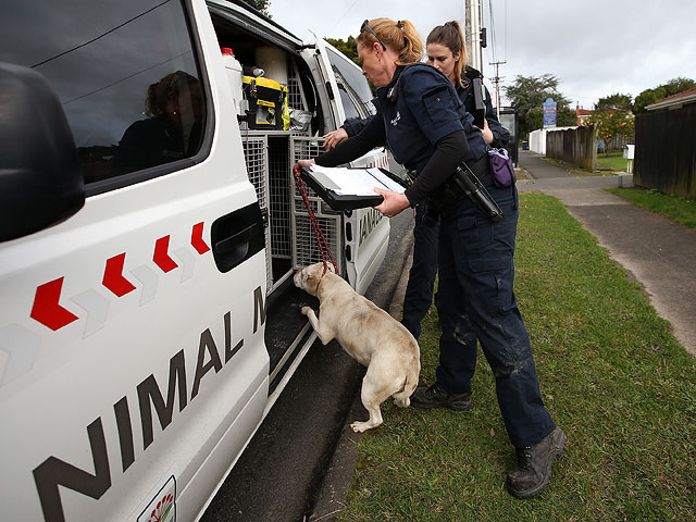 Новая Зеландия ужесточает контроль над собаками