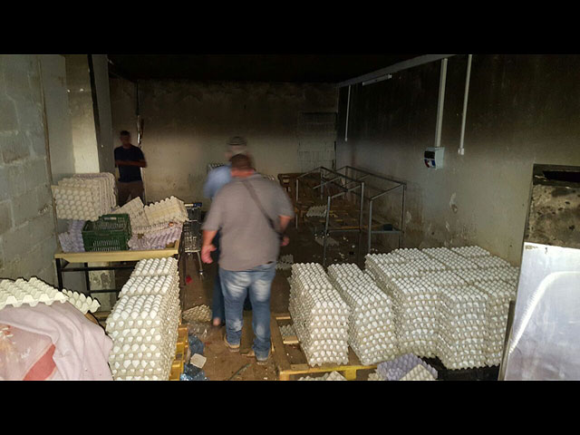 В доме жителя Шфарама обнаружены тридцать тысяч непригодных к употреблению яиц  