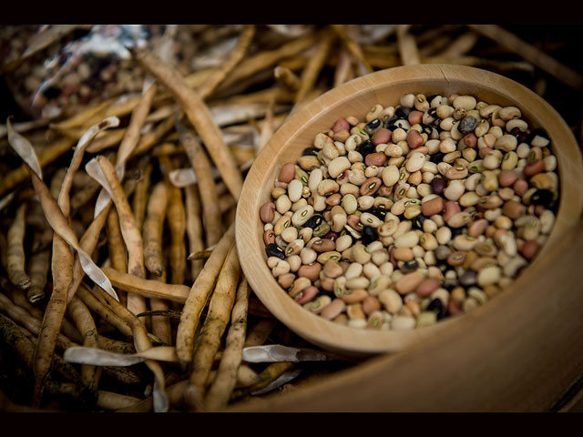 Едим медленно и со вкусом - фестиваль Terra Madre Slow Food в Турине