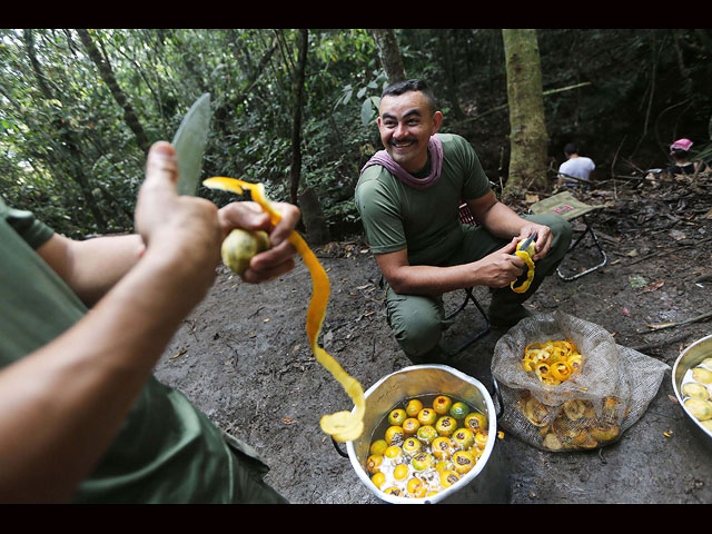 Мирная жизнь "террористов" FARC