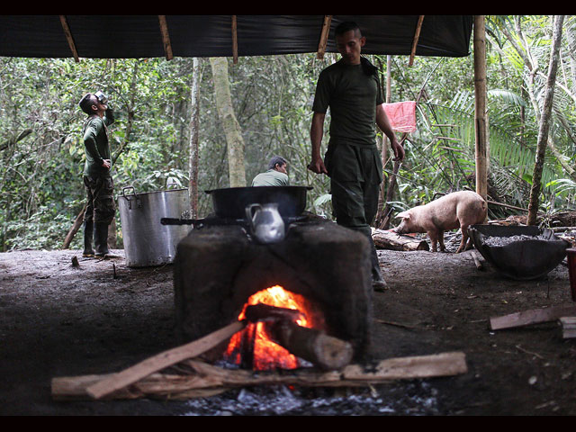 Мирная жизнь "террористов" FARC