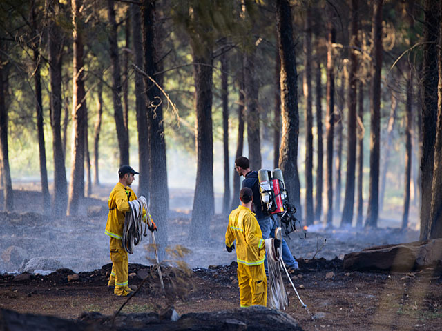 Недалеко от Хадеры горит лес: возможно, пожар стал результатом поджога    
