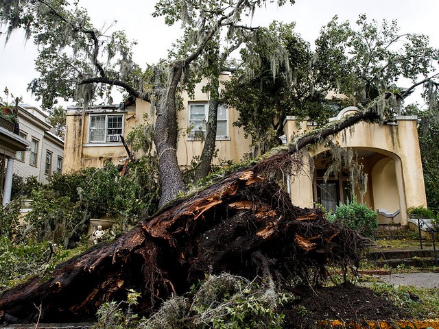 Последствия урагана "Мэтью" в городе Саванна, штат Джорджия. 8 октября 2016 г.