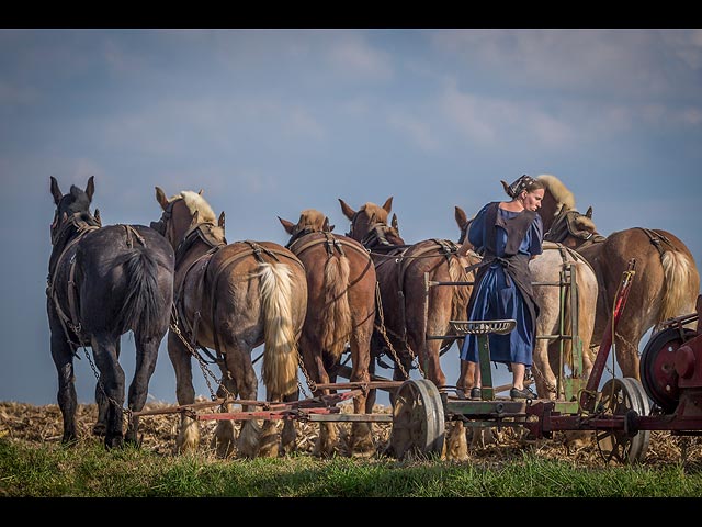 В общине амишей