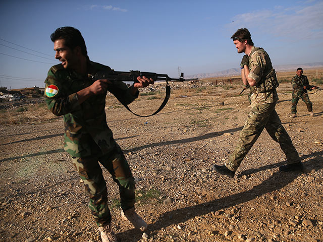 Курдские силы установили контроль над иракским городом Башика  