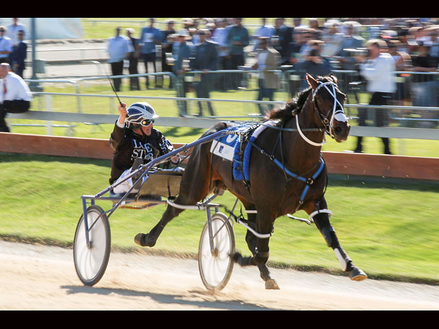 Trotting Cup: скачки, шляпки, бодиарт