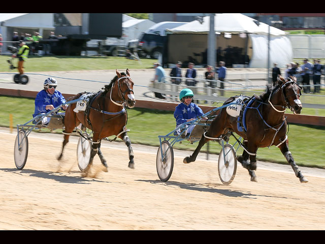 Trotting Cup: скачки, шляпки, бодиарт