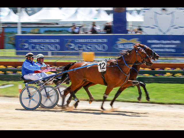 Trotting Cup: скачки, шляпки, бодиарт