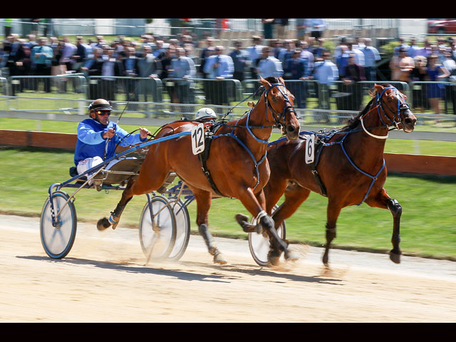 Trotting Cup: скачки, шляпки, бодиарт