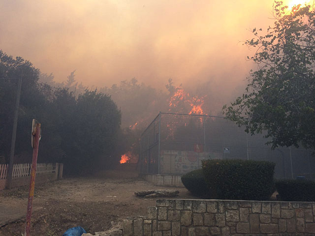Пожар в районе Зихрон-Яакова. 22 ноября 2016 года