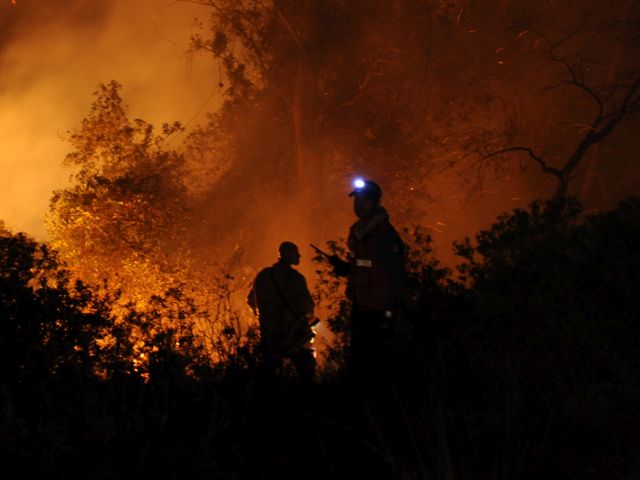 Пожар около поселка Рош-Цурим в Гуш-Эционе, проверяется версия о поджоге