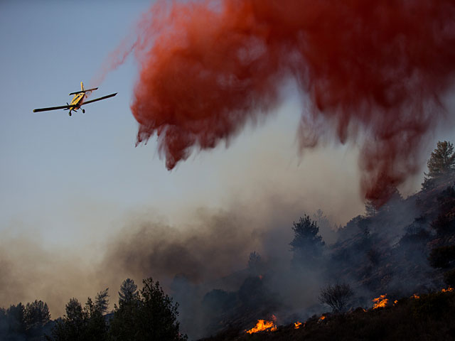 Нетаниягу, Эрдан, Альшейх: "Некоторые пожары стали результатом поджога"  