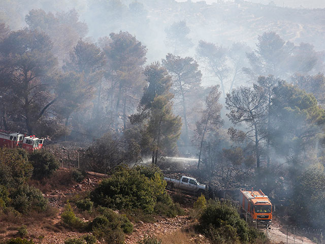 Возобновились пожары в различных районах Израиля    