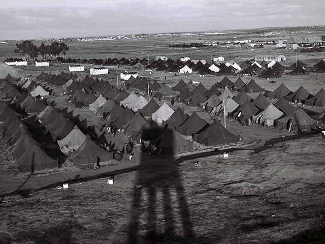 Лагерь для новых репатриантов. Израиль, 1949 год 
