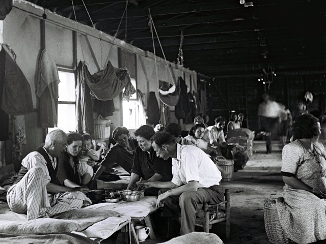 Лагерь для новых репатриантов. Израиль, 1949 год   